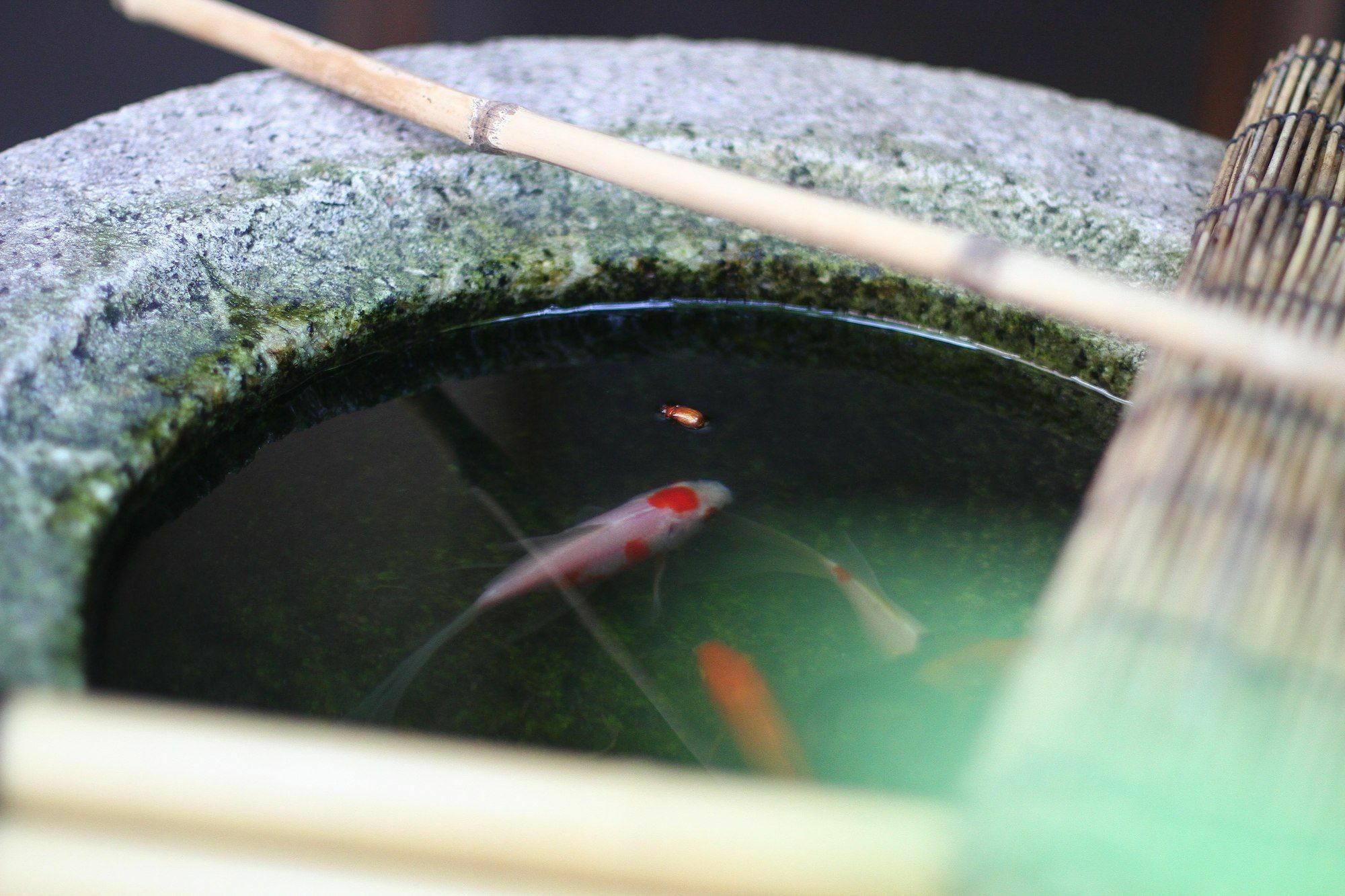 Guesthouse Kyoto Compass Kültér fotó