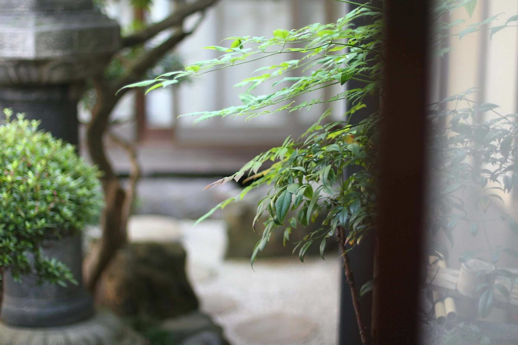 Guesthouse Kyoto Compass Kültér fotó